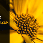 InPixio Photo Maximizer Pro Crack {Updated} Free Download